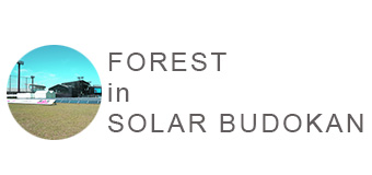 FOREST in SOLAR BUDOKAN 2016